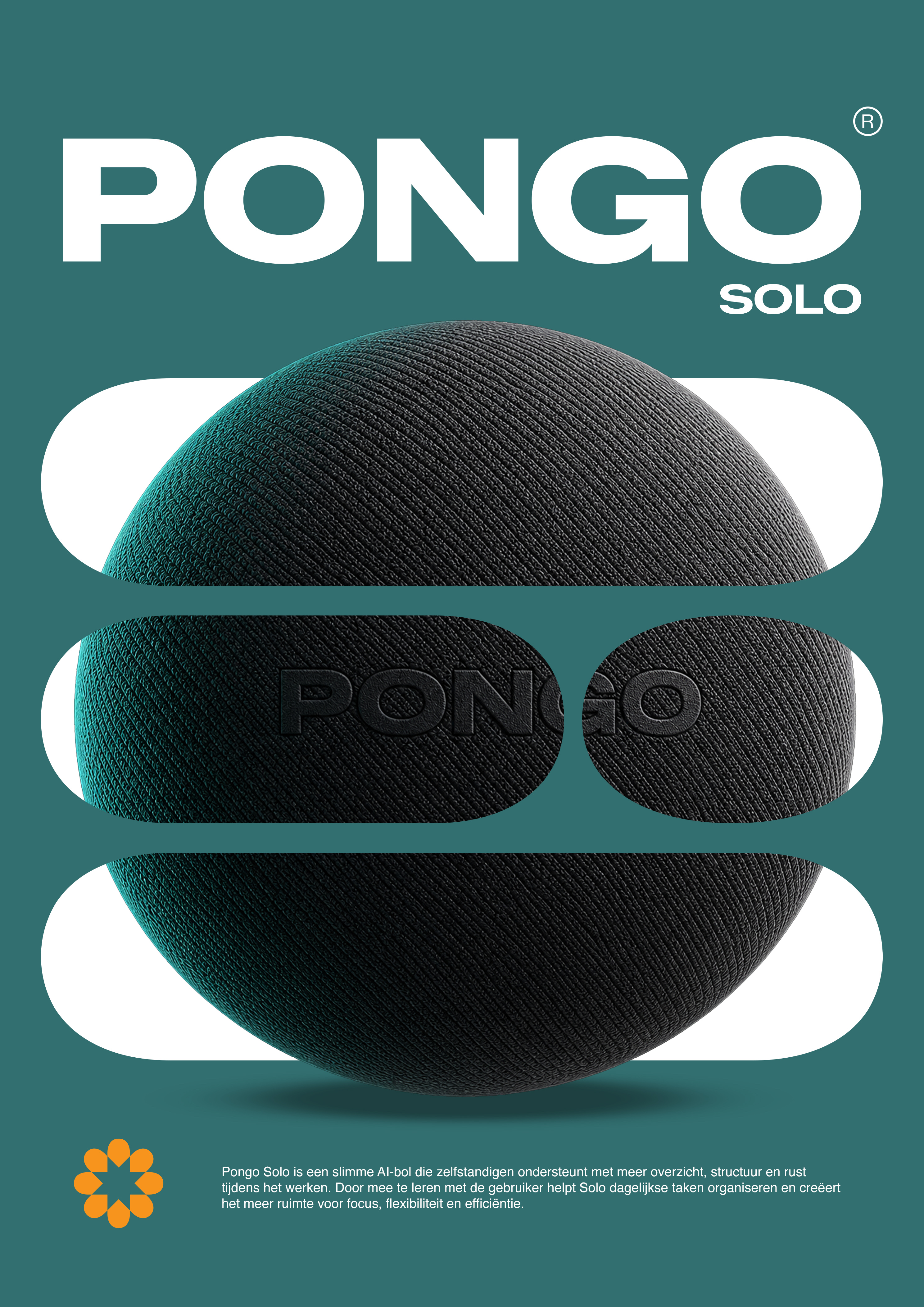 Pongo Solo