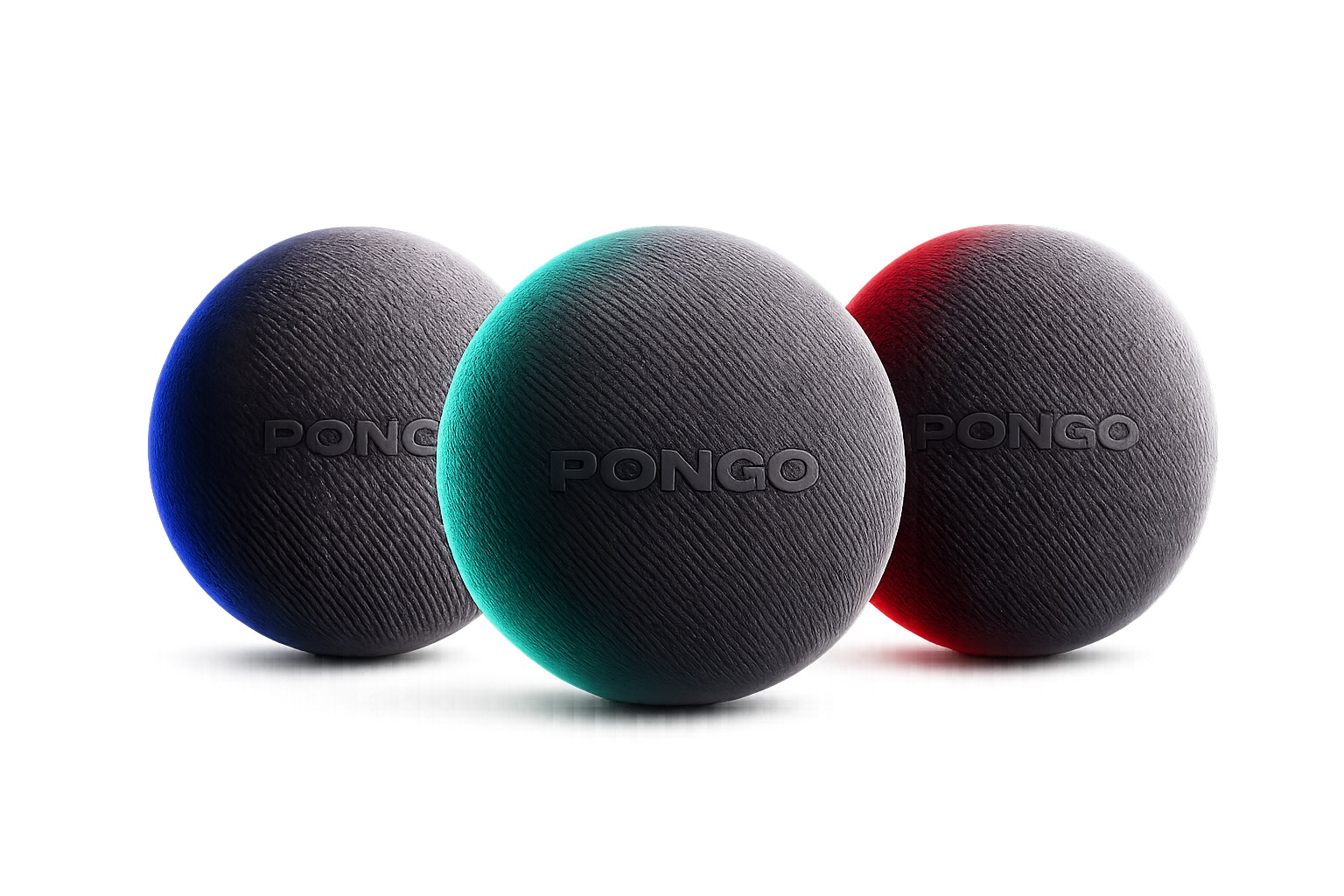 Pongo